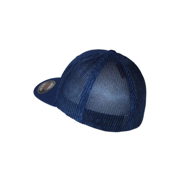 Gorro mesh trucker DS -trasera